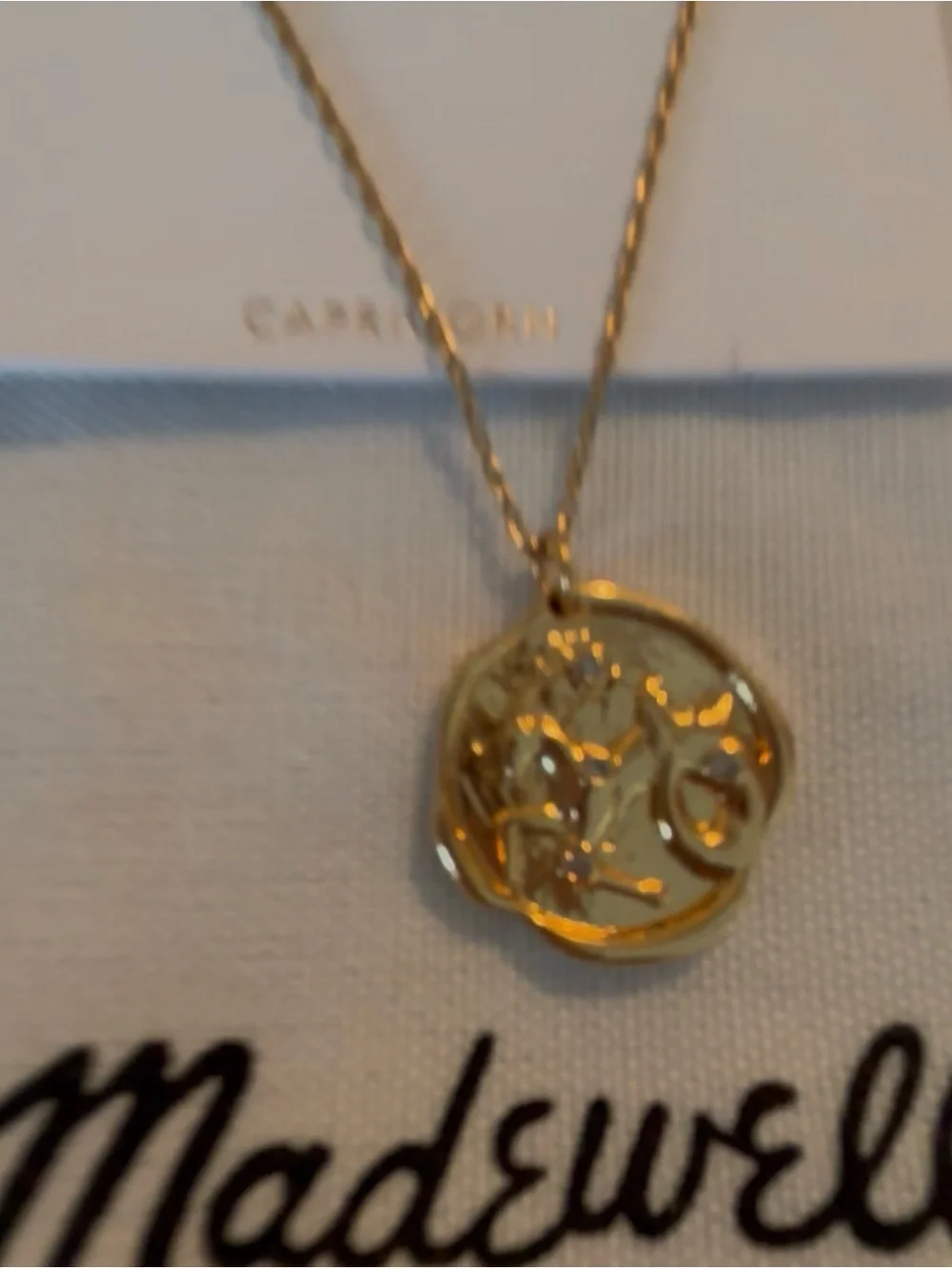 Madewell Gold Capricorn Medallion Necklace - Picture 2 of 3